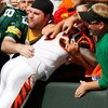 GREEN BAY, WI - SEPTEMBER 20: Wide receiver Chad Ochocinco #85 of the Cincinnati Bengals jumps in the stands to celebrate a touchdown as he does the Lambeau Leap against the Green Bay Packers at Lambeau Field on September 20, 2009 in Green Bay, Wisconsin.