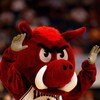 TAMPA, FL - MARCH 12:  The Mascot of the Arkansas Razorbacks cheers during the game against the Florida Gators during the first round of the SEC Men's Basketball Tournament on March 12, 2009 at The St. Pete Times Forum in Tampa, Florida.  (Photo by Chris 