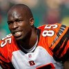 GREEN BAY, WI - SEPTEMBER 20: Wide receiver Chad Ochocinco #85 of the Cincinnati Bengals stretches in warm ups prior to the game against the Green Bay Packers at Lambeau Field on September 20, 2009 in Green Bay, Wisconsin. (Photo by Scott Boehm/Getty Imag