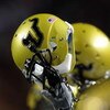RALEIGH, NC - SEPTEMBER 27:  Players from the South Florida Bulls hold their helmets into the air at the start of the college football game against North Carolina State Wolfpack at Carter-Finley Stadium on September 27, 2008 in Raleigh, North Carolina. So