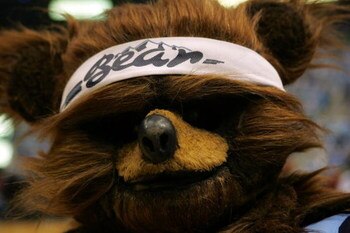 SALT LAKE CITY - MAY 26:  The Utah Jazz mascot looks on during a break in the game against the San Antonio Spurs in Game Three of the Western Conference Finals during the 2007 NBA Playoffs at the EnergySolutions Arena on May 26, 2007 in Salt Lake City, Ut