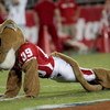 HOUSTON - SEPTEMBER 26: University of Houston mascot 'Sasha' does pushups after the Houston Cougars scored against  the Texas Tech Red Raiders at Robertson Stadium on September 26, 2009 in Houston, Texas.  (Photo by Thomas B. Shea/Getty Images)