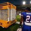 BATON ROUGE, LA - OCTOBER 10:  Emmanuel Moody #21 of the Florida Gators checks out Mike VI, mascot of the Louisiana State University Tigers, during pregame warmups at Tiger Stadium on October 10, 2009 in Baton Rouge, Louisiana.  (Photo by Kevin C. Cox/Get