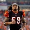 CINCINNATI - SEPTEMBER 27:  Rey Maualuga #58 of the Cincinnati Bengals is pictured during the NFL game against the Pittsburgh Steelers at Paul Brown Stadium on September 27, 2009 in Cincinnati, Ohio.  The Bengals won 23-20.  (Photo by Andy Lyons/Getty Ima
