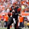 CINCINNATI - OCTOBER 25:  Carson Palmer #9 of the Cincinnati Bengals looks to pass the ball  during the NFL game against the Chicago Bears at Paul Brown Stadium on October 25, 2009 in Cincinnati, Ohio.  The Bengals won 45-10.  (Photo by Andy Lyons/Getty I