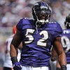 BALTIMORE - OCTOBER 11:  Ray Lewis #52 of the Baltimore Ravens celebrates a play during the game against the Cincinnati Bengals at M&T Bank Stadium on October 11, 2009 in Baltimore, Maryland. The Bengals defeated the Ravens 17-14. (Photo by Larry French/G