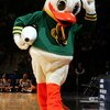 SPOKANE, WA - MARCH 18:  The Oregon Ducks mascot walks the court during a break in action against the Winthrop Eagles during the second round of the NCAA Men's Basketball Tournament on March 18, 2007 at Spokane Memorial Arena in Spokane, Washington.  (Pho