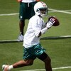 DAVIE, FL - MAY 02:  Rookie quarterback Pat White  #6 of the Miami Dolphins drops back to pass during mini camp on May 2, 2009 at the Miami Dolphins Training facility in Davie, Florida.  (Photo by Marc Serota/Getty Images)