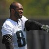 JACKSONVILLE, FL - MAY 1:  Wide receiver Tory Holt #81 of the Jacksonville Jaguars watches play May 1, 2009 at a team minicamp near Jacksonville Municipal Stadium in Jacksonville, Florida.  (Photo by Al Messerschmidt/Getty Images)