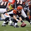 CINCINNATI - NOVEMBER 30:  Quarterback Ryan Fitzpatrick #11 of the Cincinnati Bengals looks to recover a fumbled ball during their NFL game against the Baltimore Ravens on November 30, 2008 at Paul Brown Stadium in Cincinnati, Ohio. The Ravens defeated th