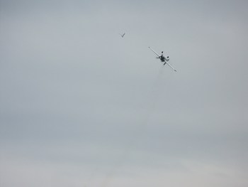 Display_image