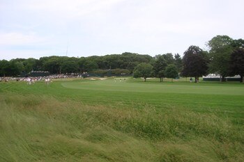 Display_image