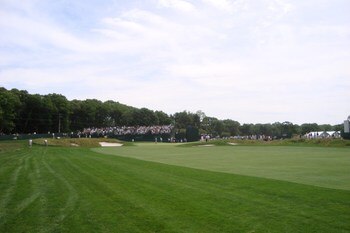 Display_image