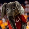 TAMPA, FL - MARCH 13:  The mascot of the Alabama Crimson Tide cheers during the game against the Tennessee Volunteers during the quaterfinal round of the SEC Men's Basketball Tournament on March 13, 2009 at The St. Pete Times Forum in Tampa, Florida.  (Ph