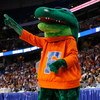 TAMPA, FL - MARCH 13:  The mascot of the Florida Gators cheers during the game against the Auburn Tigers during the quaterfinal round of the SEC Men's Basketball Tournament on March 13, 2009 at The St. Pete Times Forum in Tampa, Florida.  (Photo by Chris 