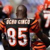 BALTIMORE - SEPTEMBER 7: Wide receiver Chad Johnson #85 of the Cincinnati Bengals stands on the field prior to game against the Baltimore Ravens at M&T Bank Stadium on September 7, 2008 in Baltimore, Maryland. The Ravens won 17-10. (Photo by Ned Dishman/G