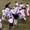 ST PETERSBURG, FL - OCTOBER 19:  The Tampa Bay Rays celebrate after defeating the Boston Red Sox in game seven of the American League Championship Series during the 2008 MLB playoffs on October 19, 2008 at Tropicana Field in St Petersburg, Florida.  The R