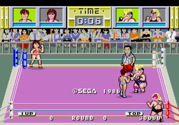 Female Wrestling Video Game 107