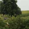 The All-Motorsport Power Rankings: Week 24