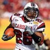 TAMPA, FL - JANUARY 01:  Eric Baker #28 of the South Carolina Gamecocks runs upfield against the Iowa Hawkeyes during the Outback Bowl on January 1, 2009 at Raymond James Stadium in Tampa, Florida.  (Photo by Scott Halleran/Getty Images)