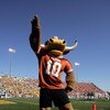 WACO, TX - NOVEMBER 5:  The Texas Longhorns mascot celebrates in the game with the Baylor Bears on November 5, 2005 at Floyd Casey Stadium in Waco, Texas. Texas defeated Baylor 62-0.  (Photo by Stephen Dunn /Getty Images)