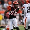 CINCINNATI - DECEMBER 23:  Chad Johnson #85 of the Cincinnati Bengals runs with the ball after a reception during the NFL game against the Cleveland Browns at Paul Brown Stadium December 23, 2007 in Cincinnati, Ohio.  (Photo by Andy Lyons/Getty Images)