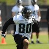 JACKSONVILLE, FL - MAY 1:  Wide receiver Mike Thomas #80 of the Jacksonville Jaguars runs for a pass May 1, 2009 at a team minicamp near Jacksonville Municipal Stadium in Jacksonville, Florida.  (Photo by Al Messerschmidt/Getty Images)