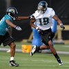 JACKSONVILLE, FL - MAY 1:  Wide receiver Tiquan Underwood #19 of the Jacksonville Jaguars runs for a pass during a team mini-camp on May 1, 2009 on the practice fields at Jacksonville Municipal Stadium in Jacksonville, Florida.  (Photo by Al Messerschmidt