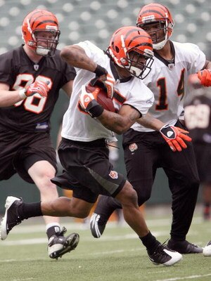 CINCINNATI, OH - MAY 1:  Sixth round draft pick Bernard Scott #35 of the Cincinnati Bengals runs a drill during rookie minicamp at Paul Brown Stadium on May 1, 2009 in Cincinnati, Ohio.  (Photo by Mark Lyons/Getty Images)