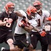 CINCINNATI, OH - MAY 1:  Sixth round draft pick Bernard Scott #35 of the Cincinnati Bengals runs a drill during rookie minicamp at Paul Brown Stadium on May 1, 2009 in Cincinnati, Ohio.  (Photo by Mark Lyons/Getty Images)