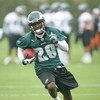 PHILADELPHIA - MAY 1: Running back LeSean McCoy #29 of the Philadelphia Eagles runs the ball during minicamp practice at the NovaCare Complex on May 1, 2009 in Philadelphia, Pennsylvania. (Photo by Hunter Martin/Getty Images)
