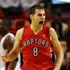 MIAMI - NOVEMBER 19:  Jose Calderon #8 of the Toronto Raptors celebrates after making a basket against the Miami Heat at American Airlines Arena on November 19, 2008 in Miami, Florida. The Raptors defeated the Heat 101-95. NOTE TO USER: User expressly ack
