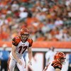 CINCINNATI - AUGUST 17:  Shayne Graham #17 of the Cincinnati Bengals waits to kick the ball during the NFL game against the Detroit Lions at Paul Brown Stadium on August 17, 2008 in Cincinnati, Ohio.  (Photo by Andy Lyons/Getty Images)