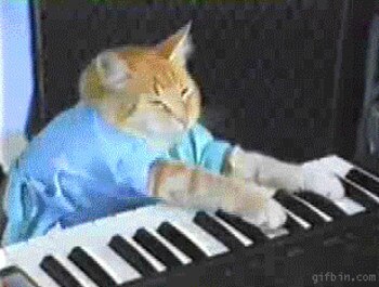 Display_image