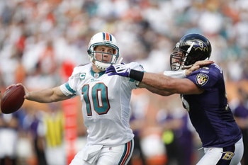 MIAMI - JANUARY 4:  Chad Pennington #10 of the Miami Dolphins scrambles against Jarret Johnson #95 of the Baltimore Ravens during a AFC Wild Card playoff game on January 4, 2009 at Dolphin Stadium in Miami, Florida. (Photo by Gregory Shamus/Getty Images)