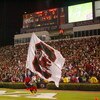 COLUMBIA - NOVEMBER 1:  A general view of the South Carolina Gamecocks mascot running the flag on the field during the game against the Tennessee Volunteers at Williams-Brice Stadium on November 1, 2008 in Columbia, South Carolina. (Photo by: Streeter Lec