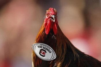 COLUMBIA, SC - SEPTEMBER 13:  Mascot Sir Big Spur of the South Carolina Gamecocks during the game against the Georgia Bulldogs at Williams-Brice Stadium in Columbia, South Carolina on September 13, 2008.  (Photo by Streeter Lecka/Getty Images)