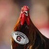 COLUMBIA, SC - SEPTEMBER 13:  Mascot Sir Big Spur of the South Carolina Gamecocks during the game against the Georgia Bulldogs at Williams-Brice Stadium in Columbia, South Carolina on September 13, 2008.  (Photo by Streeter Lecka/Getty Images)