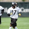 PITTSBURGH - MAY 01:  Mike Wallace #17 of the Pittsburgh Steelers runs a pass route during rookie training camp at the Pittsburgh Steelers Practice Facility on May 1, 2009 in Pittsburgh, Pennsylvania.  (Photo by Joe Sargent/Getty Images)