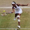 WIMBLEDON, ENGLAND - JULY 04:  Venus Williams of USA plays a forehand during the women's singles final match against Serena Williams of USA on Day Twelve of the Wimbledon Lawn Tennis Championships at the All England Lawn Tennis and Croquet Club on July 4,