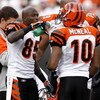 CLEVELAND - NOVEMBER 26:  Chad Johnson #85 of the Cincinnati Bengals gives a drink of water to Reggie McNeal #10 during a fourth quarter timeout after the Cincinatti starters had left the game against Cleveland Browns on November 26, 2006 at Cleveland Bro