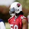 TEMPE, AZ - MAY 1 :  Will Davis #59 of the Arizona Cardinals watches a drill during a team minicamp at the team training facility on May 1, 2009 in Tempe, Arizona.  (Photo by Jonathan Willey/Getty Images)