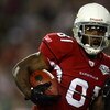 TAMPA, FL - FEBRUARY 01:  Wide receiver Anquan Boldin #81 of the Arizona Cardinals runs for yards after the catch on a 45-yard reception in the second quarter against the Pittsburgh Steelers during Super Bowl XLIII on February 1, 2009 at Raymond James Sta