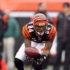 CINCINNATI - NOVEMBER 30:  T.J. Houshmandzadeh #84 of the Cincinnati Bengals tries to catch the ball during their NFL game against the Baltimore Ravens on November 30, 2008 at Paul Brown Stadium in Cincinnati, Ohio. The Ravens defeated the Bengals 34-3.(P