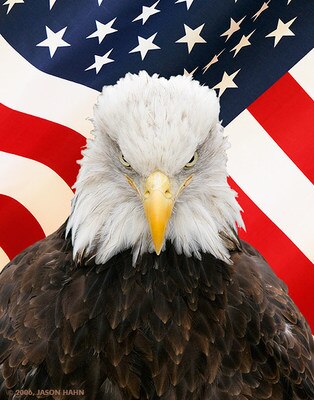 Display_image