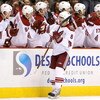 GLENDALE, AZ - APRIL 02:  Scottie Upshall #8 of the Phoenix Coyotes celebrates with teammates after scoring a third period goal against the Los Angeles Kings during the NHL game at Jobing.com Arena on April 2, 2009 in Glendale, Arizona. The Coyotes defeat