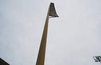 Display_image