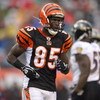 CINCINNATI - NOVEMBER 30:  Chad Johnson #85 of the Cincinnati Bengals jogs on the field during their NFL game against the Baltimore Ravens on November 30, 2008 at Paul Brown Stadium in Cincinnati, Ohio. The Ravens defeated the Bengals 34-3.(Photo by Andy 