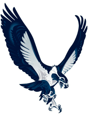Display_image