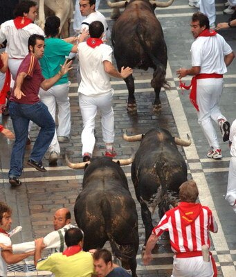 PAMPLONA, SPAIN - JULY 12 : People evade Juan pedro Domecq running bulls on the sixth day of the San Fermin Fiesta on July 12, 2005 in Pamplona. The 'Encierro' or running of the bulls dates back to the 14th century when bulls were herded down the roads in